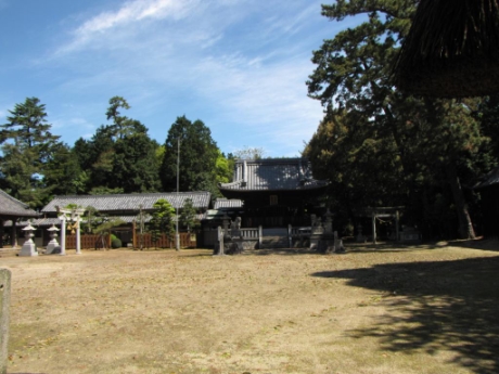 画像25